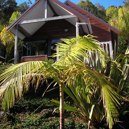 Bay Cabinz Motel Paihia Exteriér fotografie